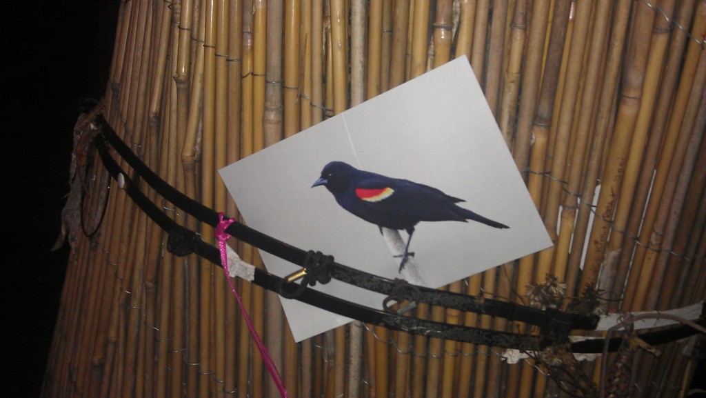 IMAG0012